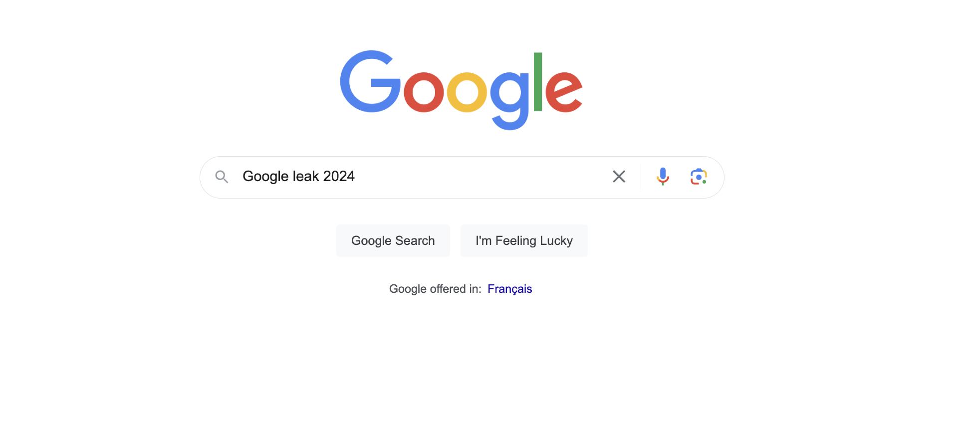 Google Leak 2024