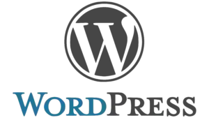 Consultant SEO WordPress